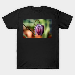 Snake's Head Fritillary T-Shirt